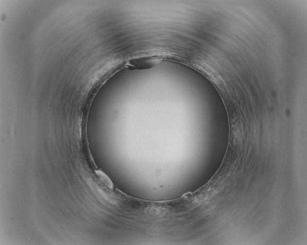 X0000089420350200706291038