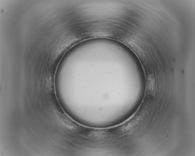 X0000089420351200706291038