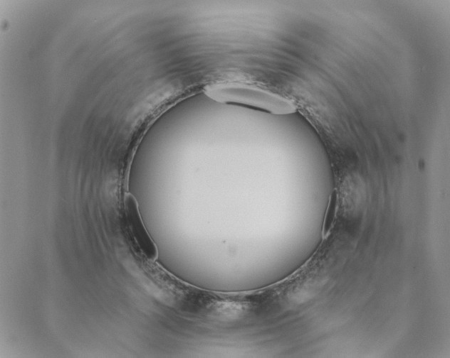 X0000089420352200706291038