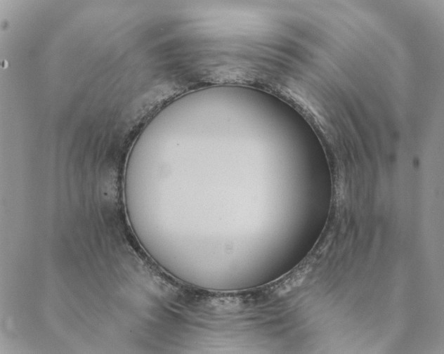 X0000089420353200706291038