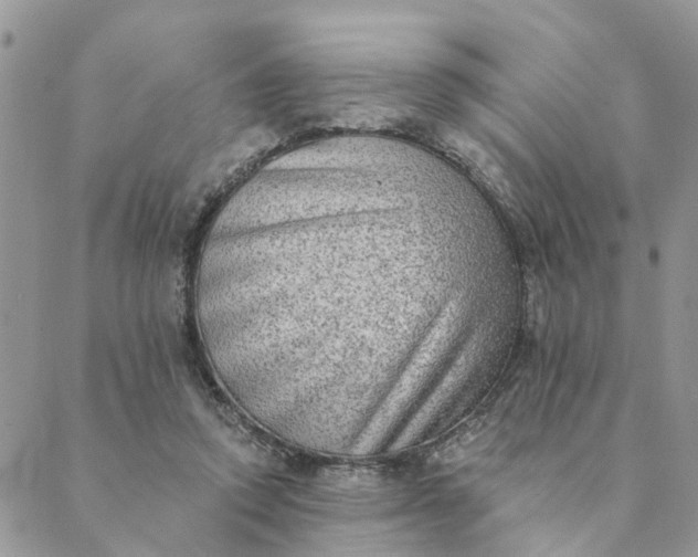 X0000089420354200706291038