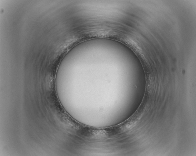 X0000089420355200706291038