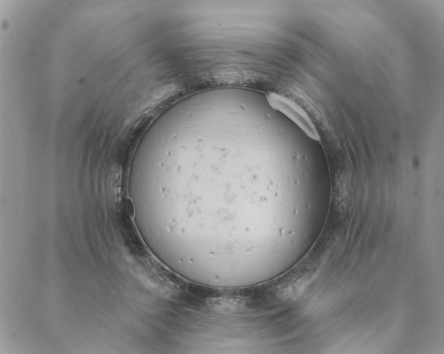 X0000089420356200706291038