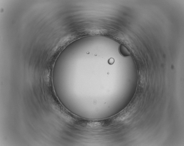 X0000089420357200706291038