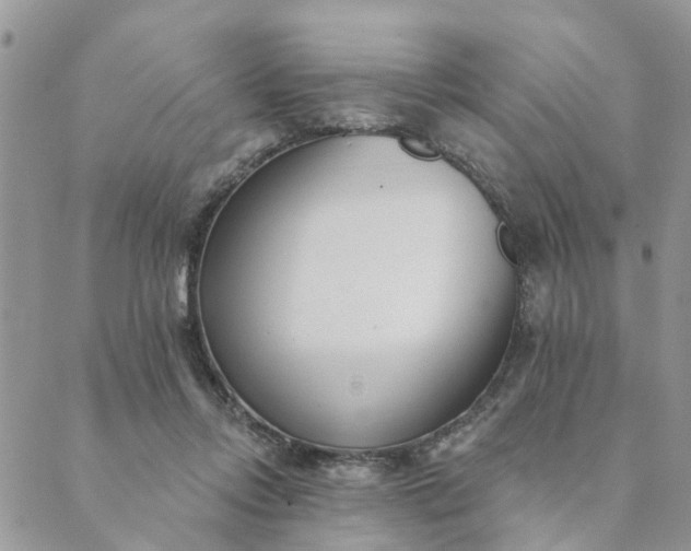 X0000089420358200706291038