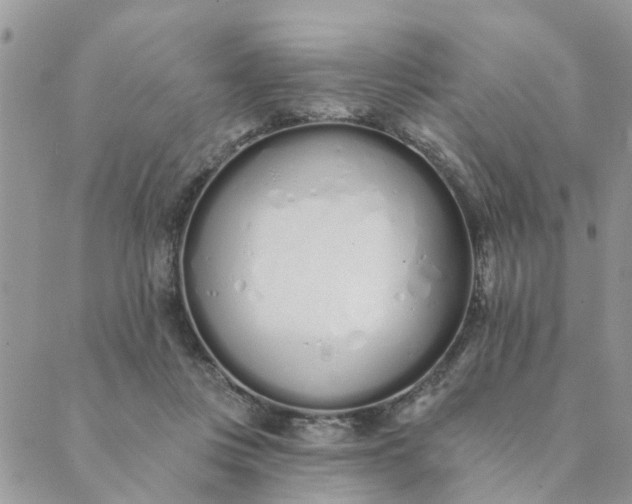 X0000089420359200706291038