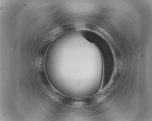 X0000089420360200706291038