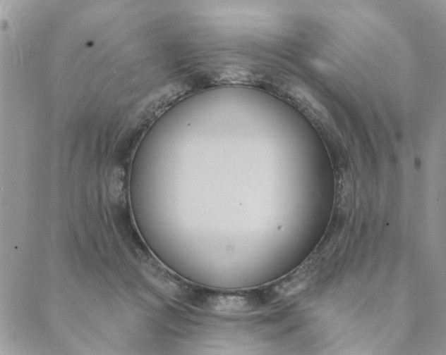 X0000089420361200706291038