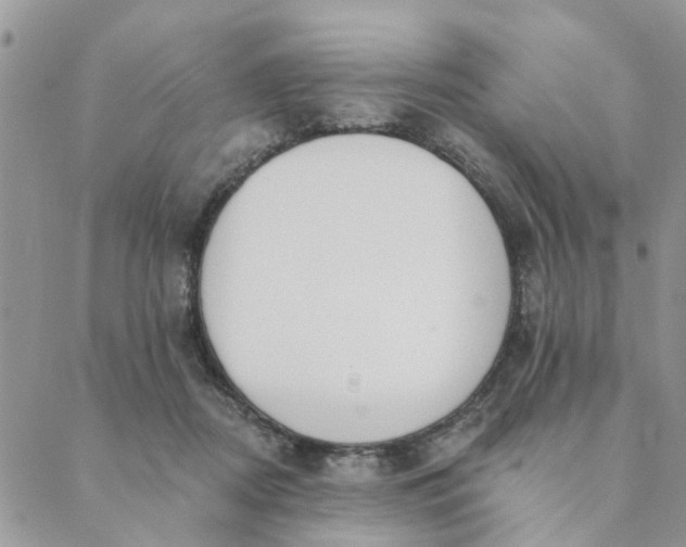 X0000089420362200706291038