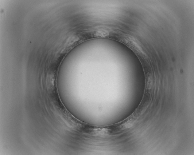 X0000089420363200706291039