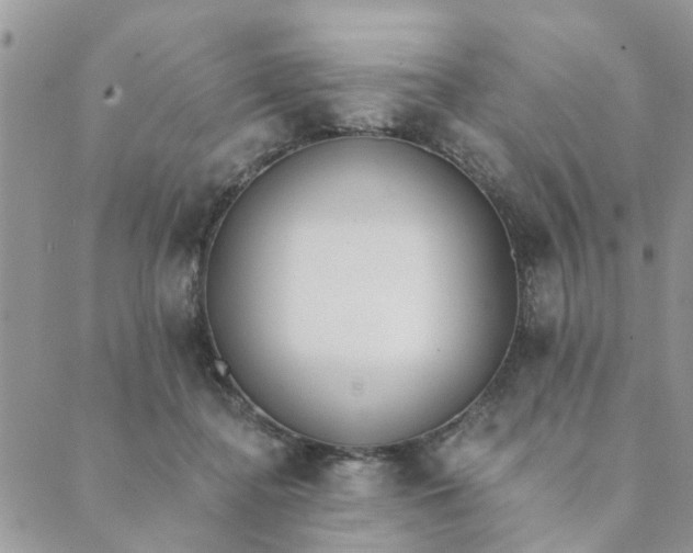 X0000089420364200706291039