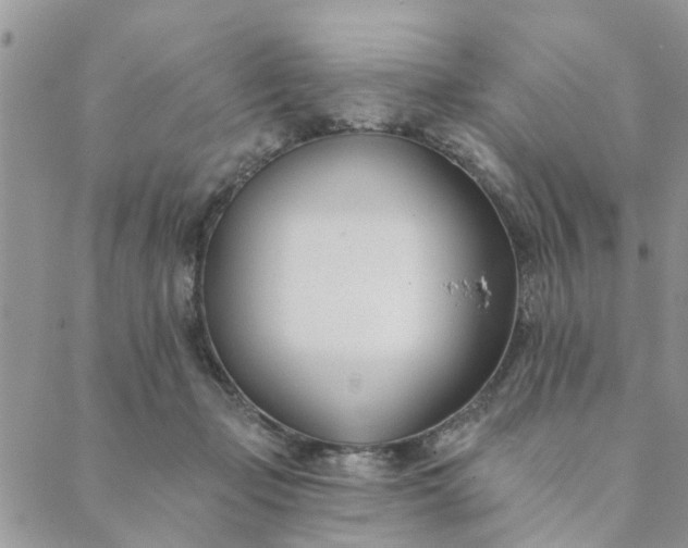 X0000089420365200706291039