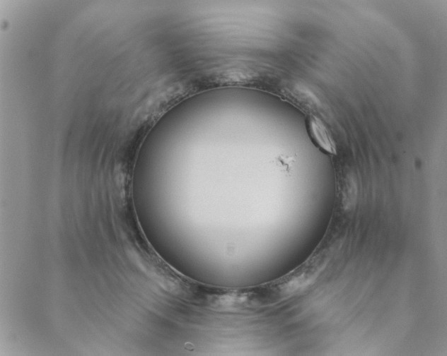 X0000089420366200706291039