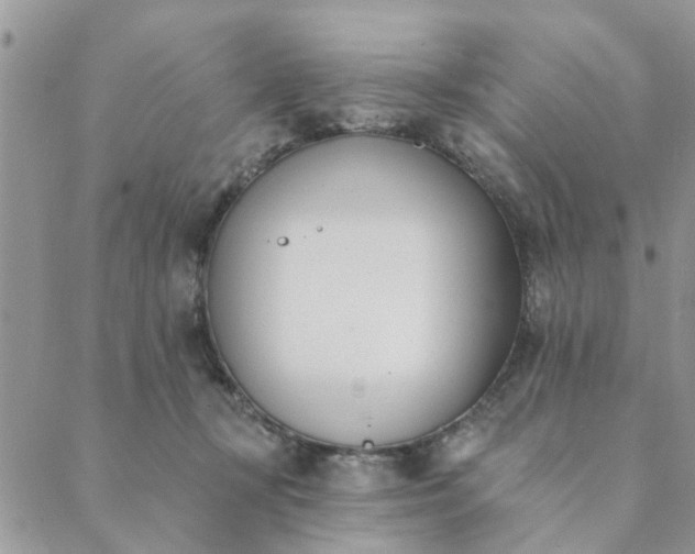 X0000089420367200706291039