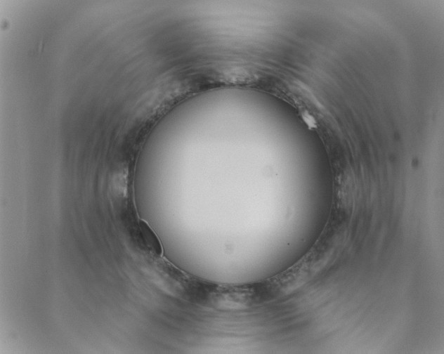 X0000089420368200706291039