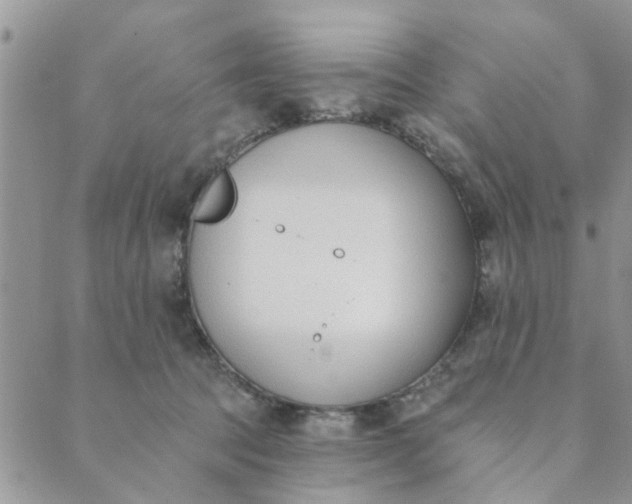 X0000089420369200706291039