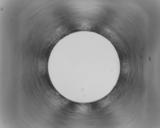 X0000089420370200706291039