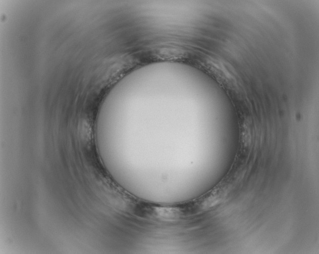 X0000089420371200706291039