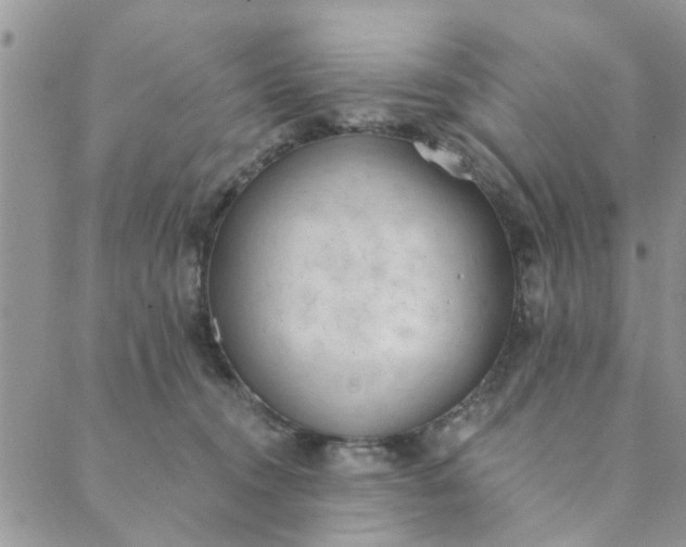 X0000089420372200706291039