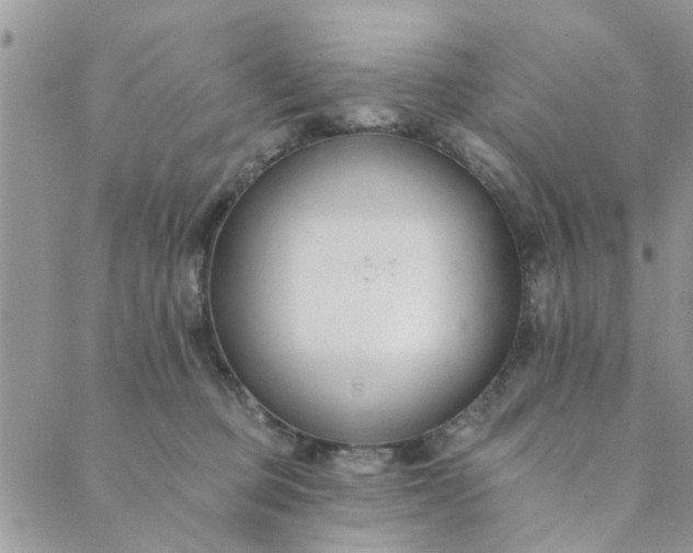 X0000089420373200706291039