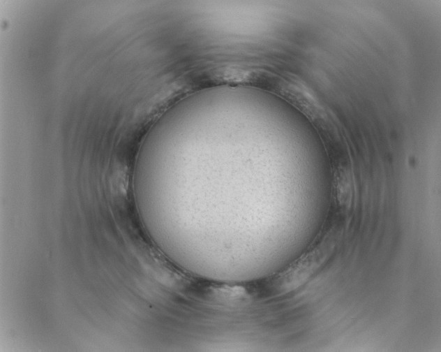 X0000089420374200706291039