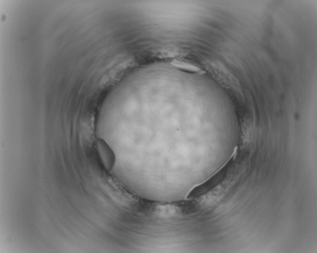 X0000089420376200706291039