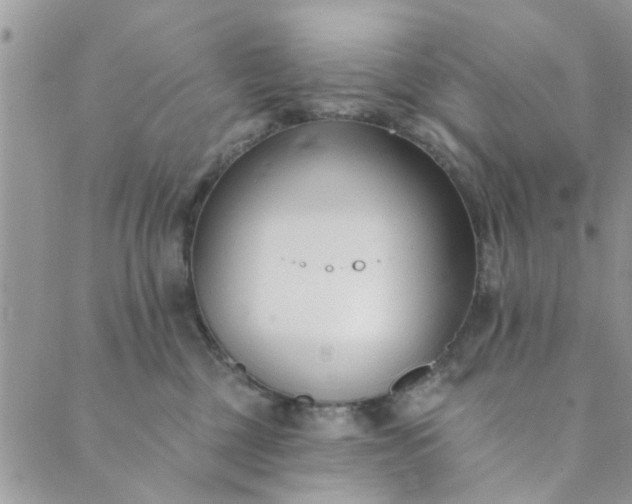 X0000089420377200706291039