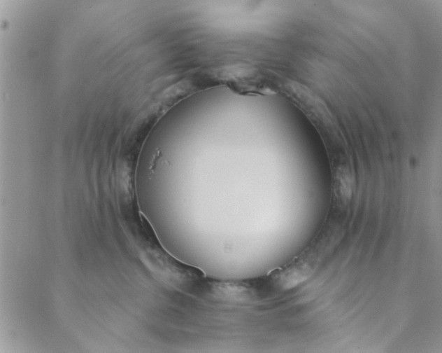 X0000089420380200706291039