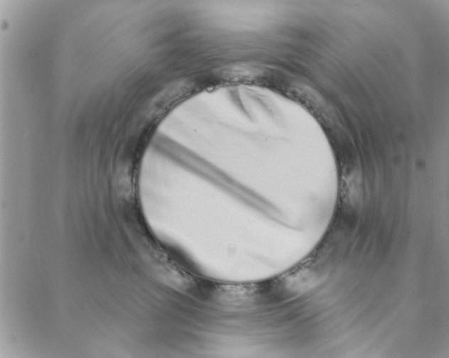 X0000089420381200706291039