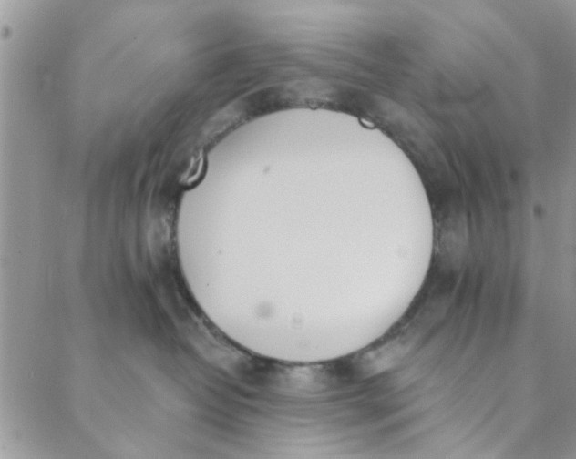 X0000089420382200706291039