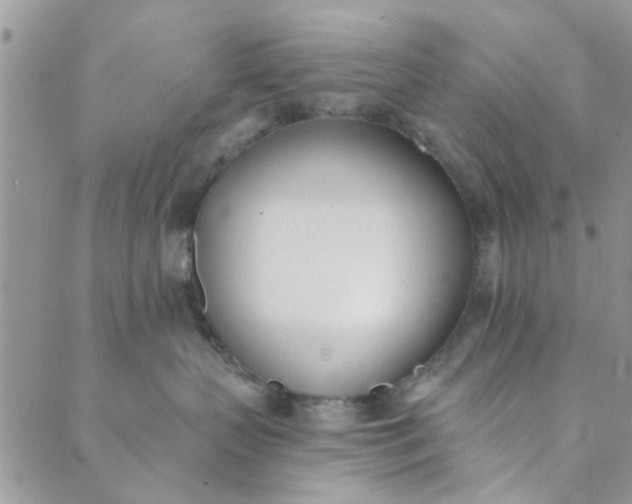 X0000089420383200706291039