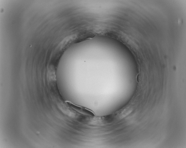 X0000089420384200706291039