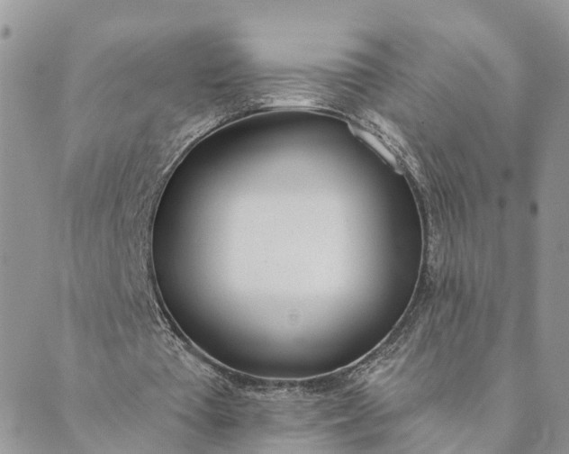 X0000089420385200706291038