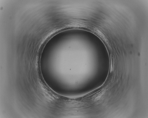 X0000089420387200706291038