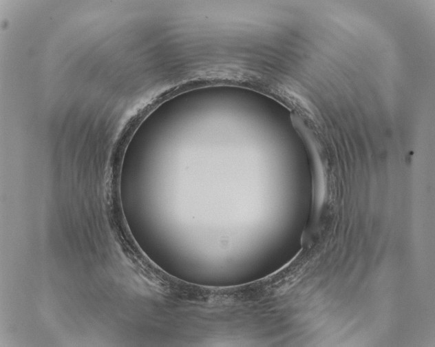 X0000089420388200706291038