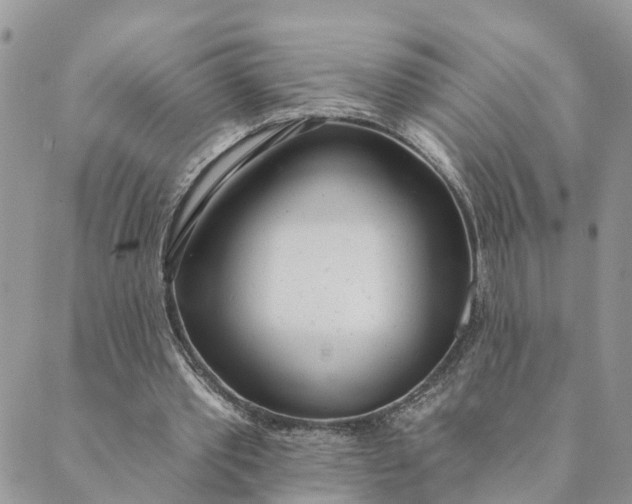 X0000089420389200706291038