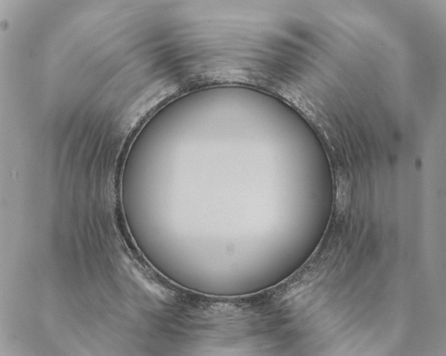 X0000089420390200706291038