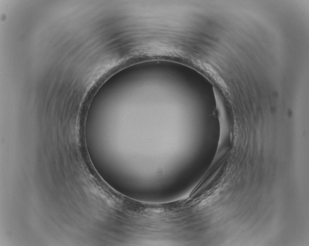 X0000089420391200706291038