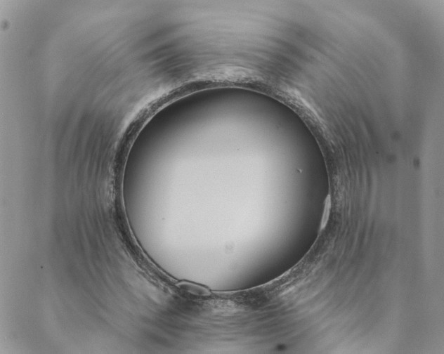 X0000089420392200706291038