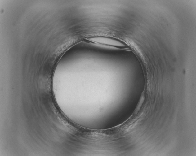 X0000089420393200706291038