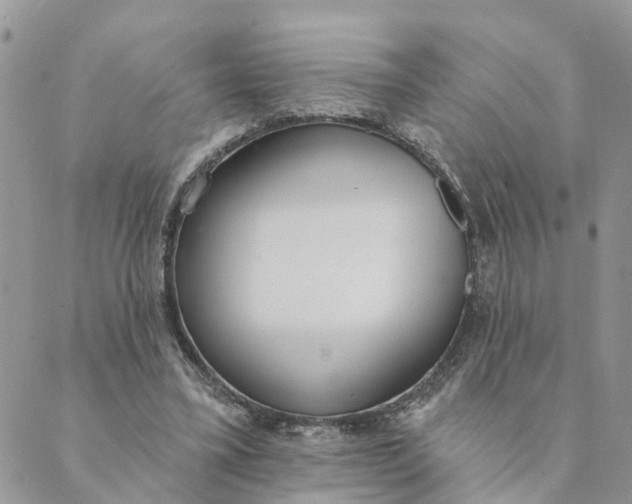 X0000089420395200706291038