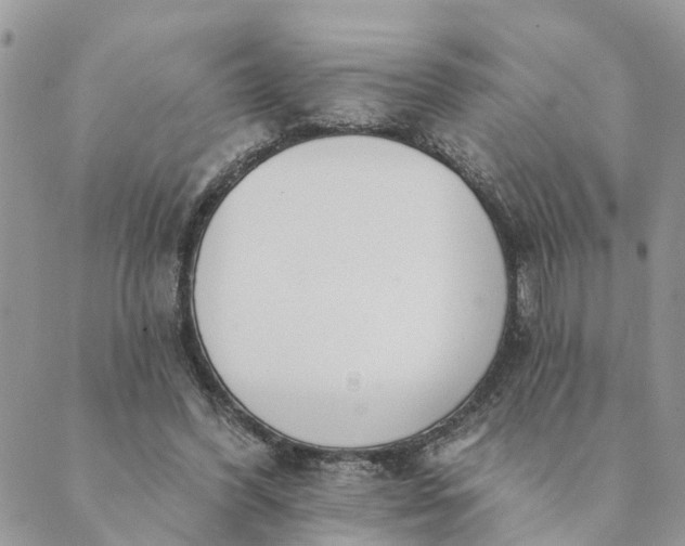 X0000089420396200706291038