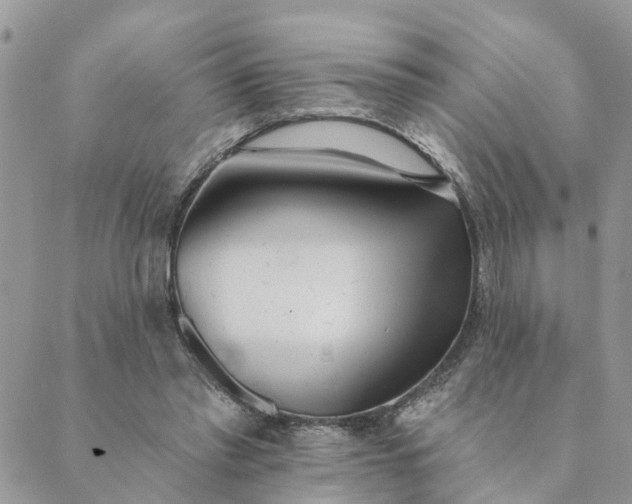 X0000089420397200706291038