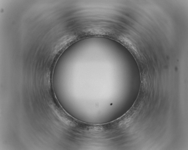 X0000089420398200706291038