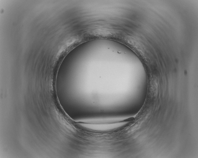 X0000089420399200706291038