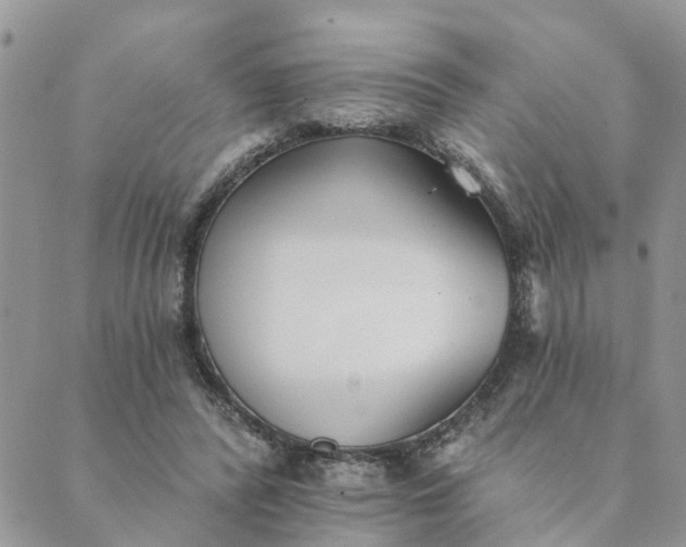 X0000089420400200706291038