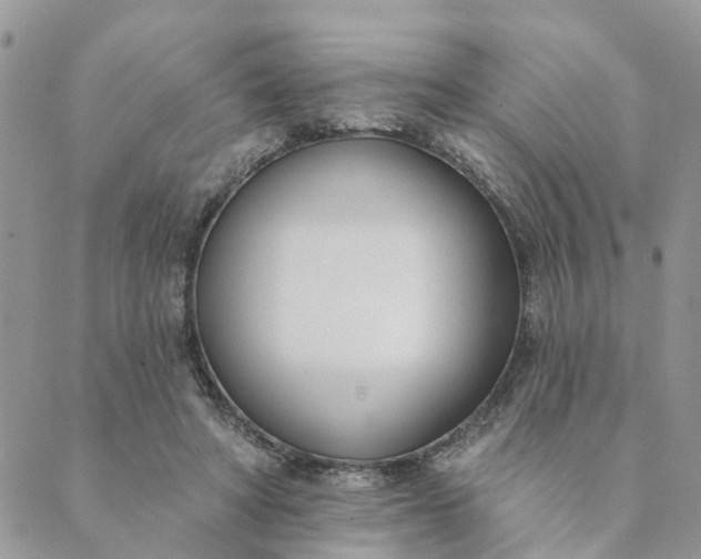 X0000089420402200706291038