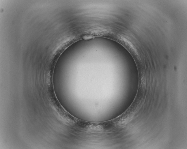 X0000089420403200706291038