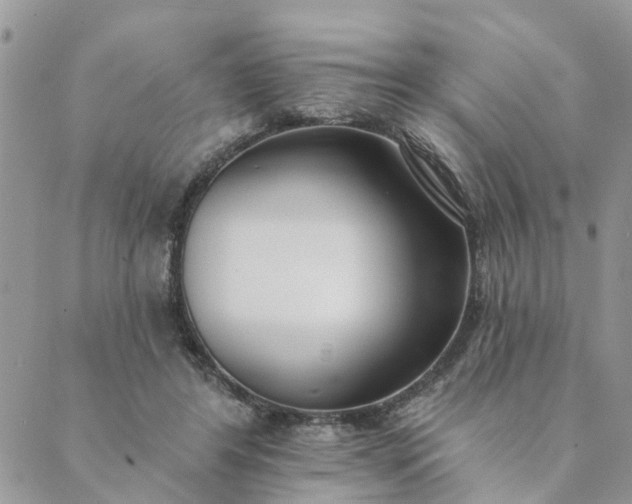 X0000089420404200706291038