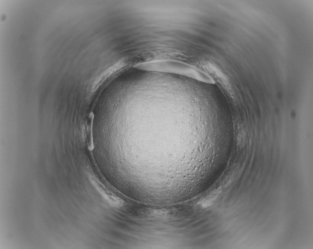 X0000089420405200706291038